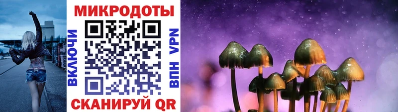 Купить  Менделеевск  Галлюциногенные грибы Magic Shrooms 
